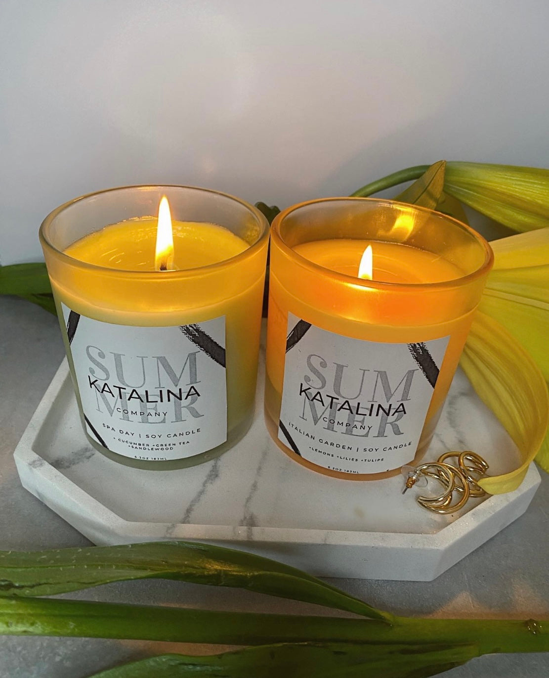 Japanese Winter and Beach House